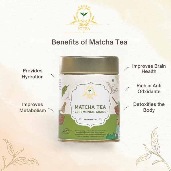 matcha-tea-ceremonial-grade-metabolism